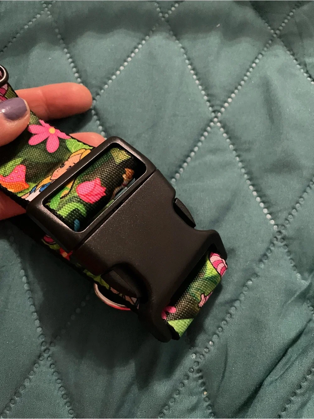 Alice in Wonderland Themed Green Floral Dog Collar